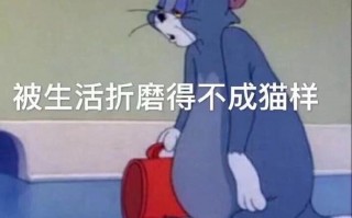 机场文案文案沙雕搞笑，机场文案文案沙雕搞笑