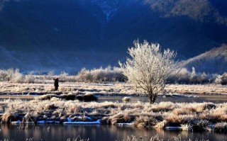 冬日永福游玩攻略，冬日永福游玩攻略大全