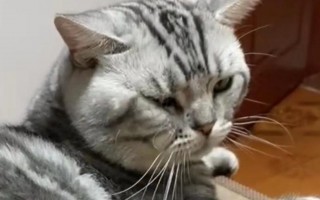 睡醒恶搞视频，睡醒恶搞视频大全