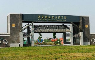 曲江农博园游玩攻略，曲江农博园游玩攻略图