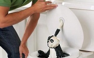 马桶水坑恶搞视频，