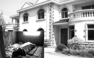 别墅偷盗技术，别墅偷盗技术分析