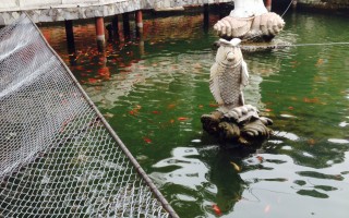 怀柔攻略游玩，怀柔攻略游玩景点