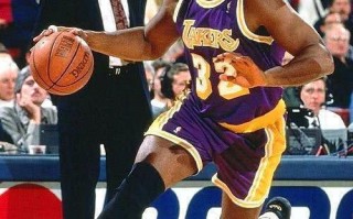 魔术师约翰逊数据分析，魔术师约翰逊数据分析