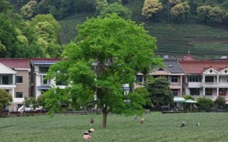 溪水游玩苏州攻略，溪水游玩苏州攻略一日游