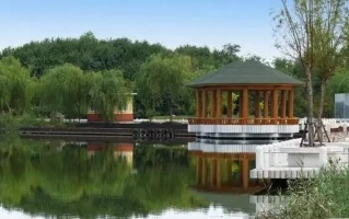 公园的游玩攻略，公园作文400字