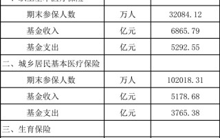 社保数据分析，社保数据分析报告