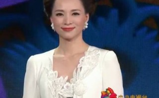 主持人王菲，央视主持人王菲