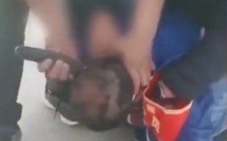 恶搞视频剃头，恶搞视频剃头视频大全