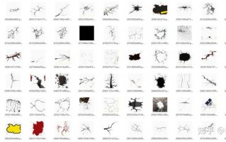 沙雕动画文案素材，沙雕动画文案素材哪里找