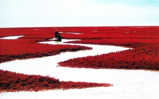 盘锦游玩攻略反派，旅游盘锦攻略