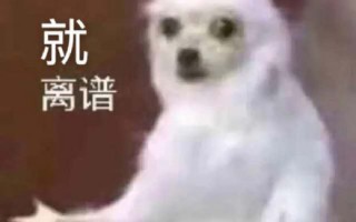 沙雕文案身份，沙雕文案段子