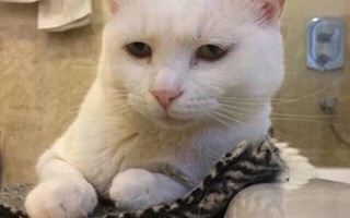 沙雕看电影文案，沙雕看电影文案怎么写