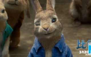 兔子恶搞粤语视频，兔子恶搞粤语视频大全