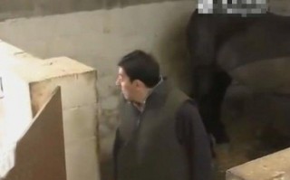 偷情恶搞视频，搞笑偷袭视频