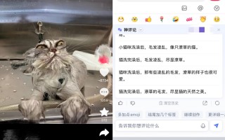 领导文案沙雕，领导文案沙雕搞笑