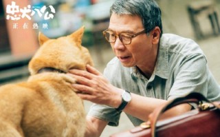 关于狗狗的感人短剧剧本，关于狗狗的感人短剧剧本大全