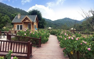 天心区木屋别墅游玩攻略，天心区木屋别墅游玩攻略一日游