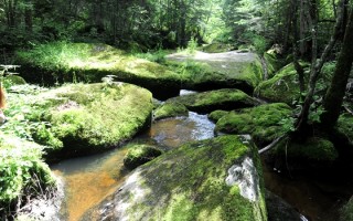 绥棱游玩攻略，绥棱游玩攻略一日游