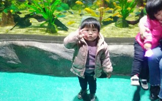 儿童室外游玩石家庄攻略，石家庄适合孩子户外玩的地方