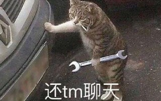 emo文案搞笑沙雕，关于emo的搞笑文案