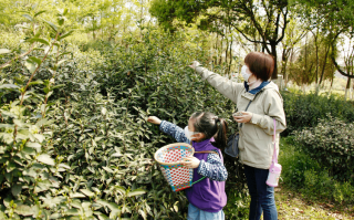 关于遛娃的脱口秀搞笑段子，关于遛娃的脱口秀搞笑段子视频