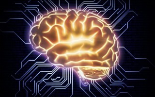 辐射AI，辐射避难所