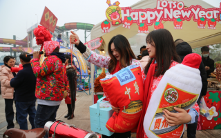 小情景短剧回娘家，小情景短剧回娘家视频