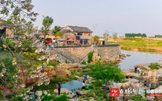 新昌街游玩攻略，新昌街游玩攻略一日游