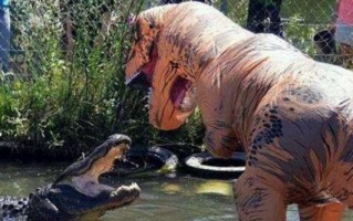 恶搞恐龙爸爸视频，恶搞恐龙爸爸视频大全